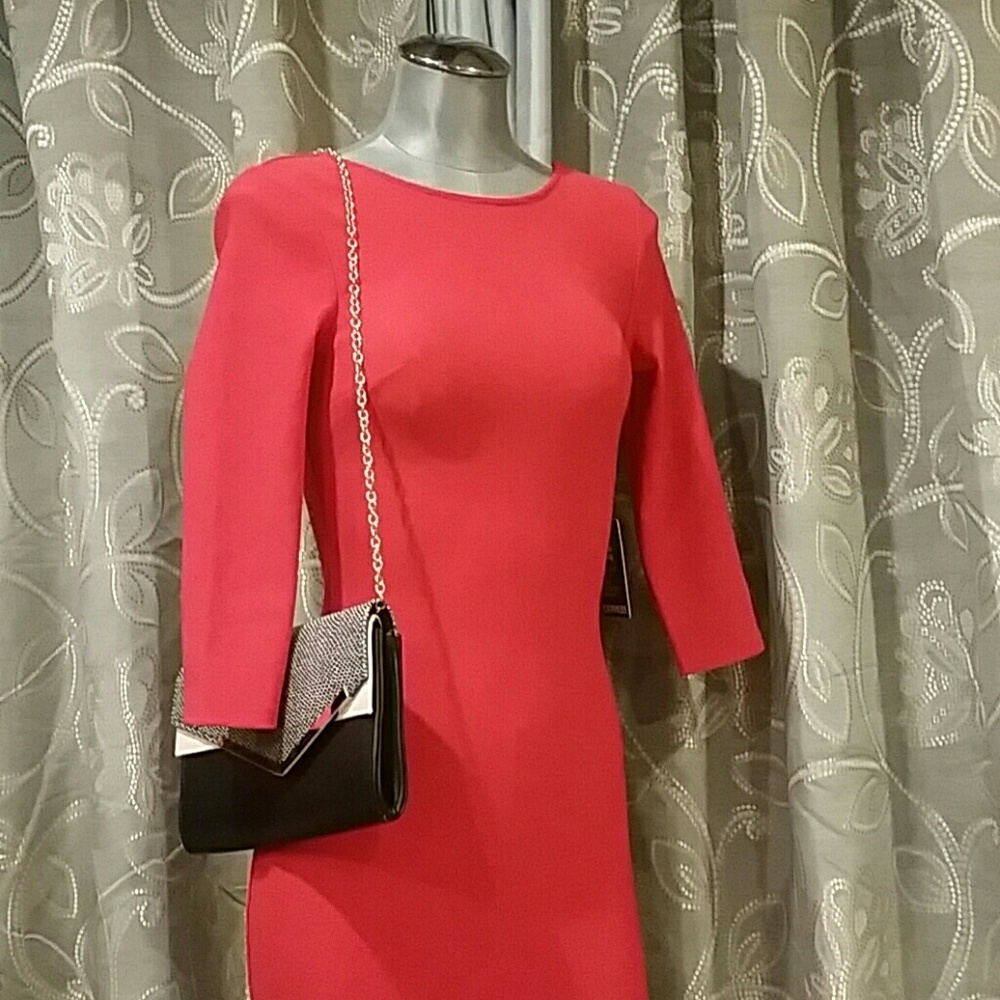 Express Dress - Picture 5 of 8